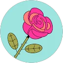 rosy h